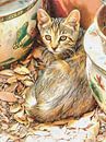 A Comfy Niche by Dorothy Berry-Lound thumbnail
