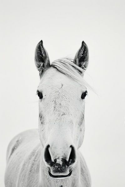 Pferde Portrait von Poster Art Shop