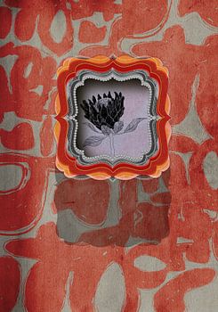 PROTEA Gift Box No.2