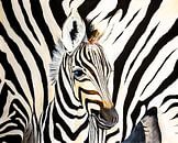 jonge Zebra close up van Angelique van den Berg thumbnail