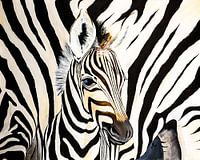 jonge Zebra close up