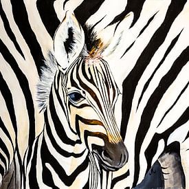 jonge Zebra close up sur Angelique van den Berg