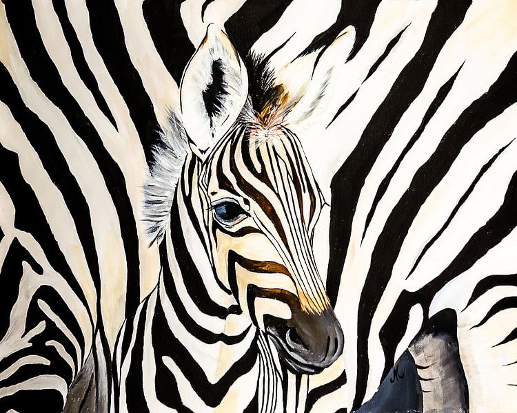 jonge Zebra close up von Angelique van den Berg