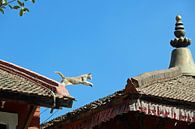 springende kat in Patan Nepal van Marieke Funke thumbnail