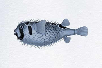 Retro tropical fish.  Vintage art. Black-blotched porcupinefish in blue by Dina Dankers