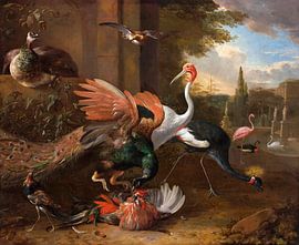Ein Pfau greift einen Hahn an, Melchior d'Hondecoeter