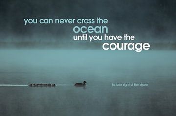 Quote: You can never cross the ocean......