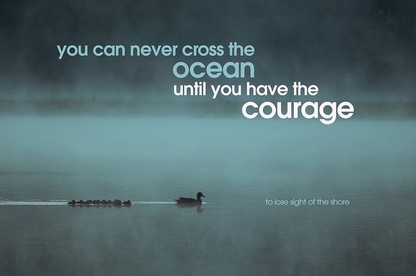 Quote: You can never cross the ocean...... van Andrea Gulickx