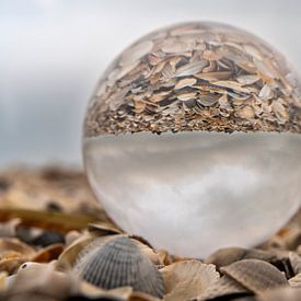 Glass ball in a pile of shells by Stephan Zaun