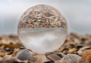 Glaskugel in Muschelhaufen