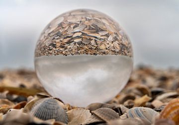 Glazen bol in een hoop schelpen van Stephan Zaun