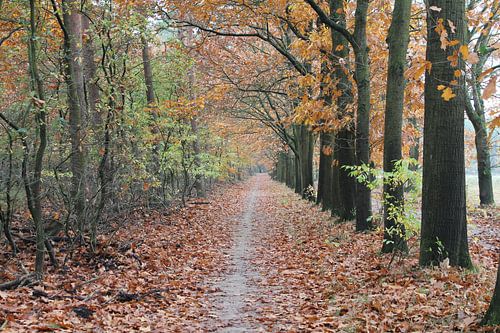 Herfst
