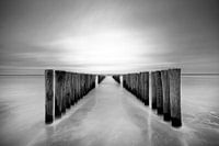 Groynes