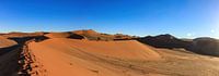 The dunes of Sossusvlei in Namibia