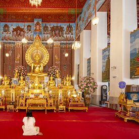 Achtsamkeit im Angesicht des Buddha von Walter G. Allgöwer