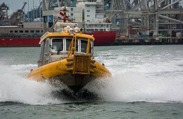 Roeiers varend in de close up in de haven. van scheepskijkerhavenfotografie