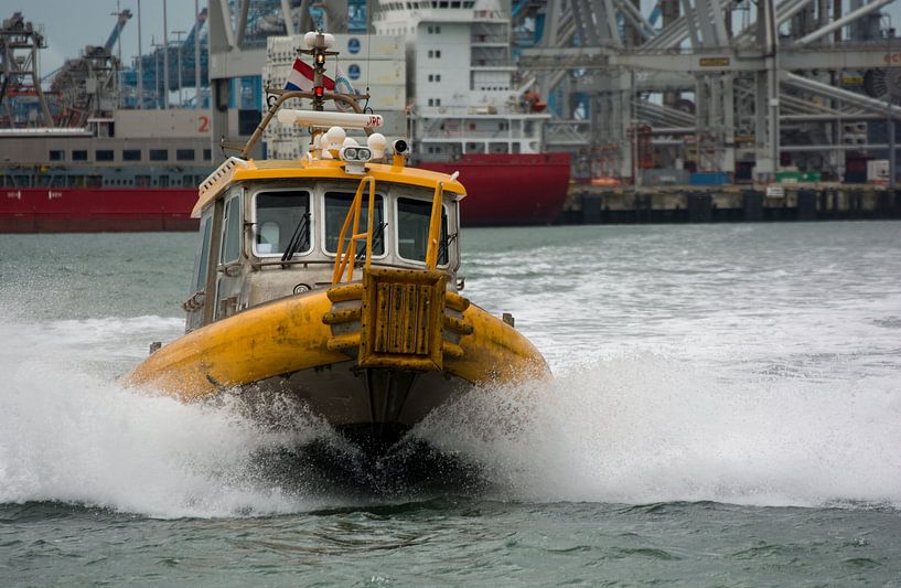 Ruderer beim Segeln im Hafen in Nahaufnahme. von scheepskijkerhavenfotografie
