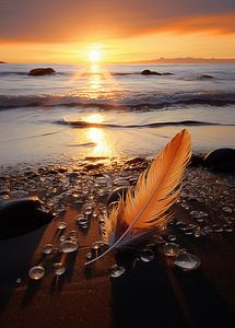 Feder am Strand