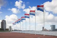 Drapeaux néerlandais sur la Nieuwe Maas à Rotterdam par Rick Van der Poorten Aperçu