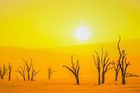 Namibia Sossusvlei, Sonnenuntergang