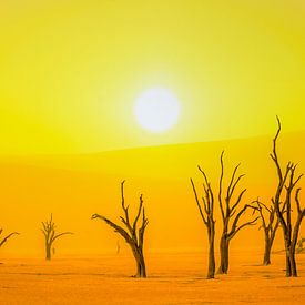 Zonsopgang in Afrika, Namibië Dead Vlei van Caroline Drijber