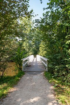 Veldpark Zaandam van Peter Bartelings