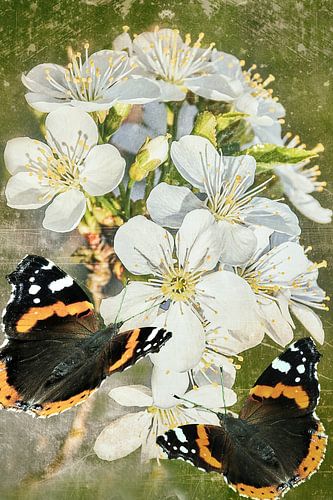 Spring aangeboden in de tuin 
