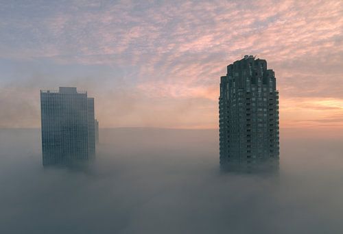 Mistige zonsopkomst Rotterdam