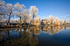Winter van Henk Leijen