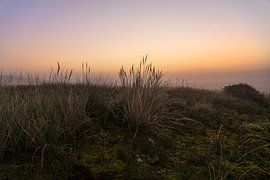 Dunes at sunrise by Anouschka Hendriks
