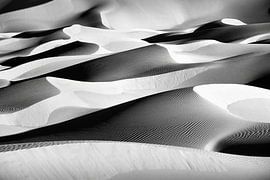 Algeria. Kerzaz, Sahara Desert. Sand dunes. by Frans Lemmens