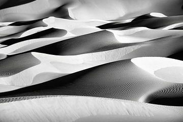 Algeria. Kerzaz, Sahara Desert. Sand dunes. by Frans Lemmens