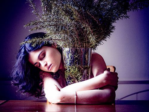 Vlada mit Rosmarin von Hans Dethmers