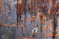 Abstract meertje
