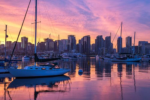 Majestueuze tinten - Haven van San Diego