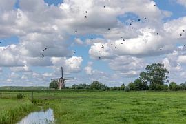 Dutch landscape by Russcher Tekst & Beeld