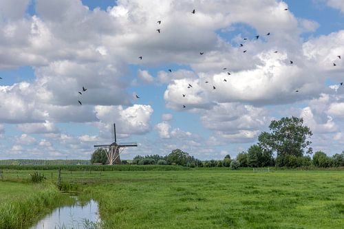 Hollands landschap met molen en wolkenlucht