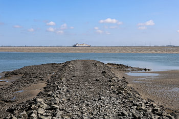 Container ship on the Westerschelde