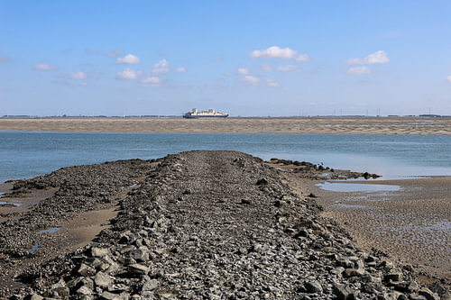 Containerschip op Westerschelde