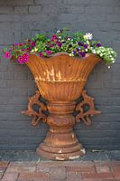 Rust Roest