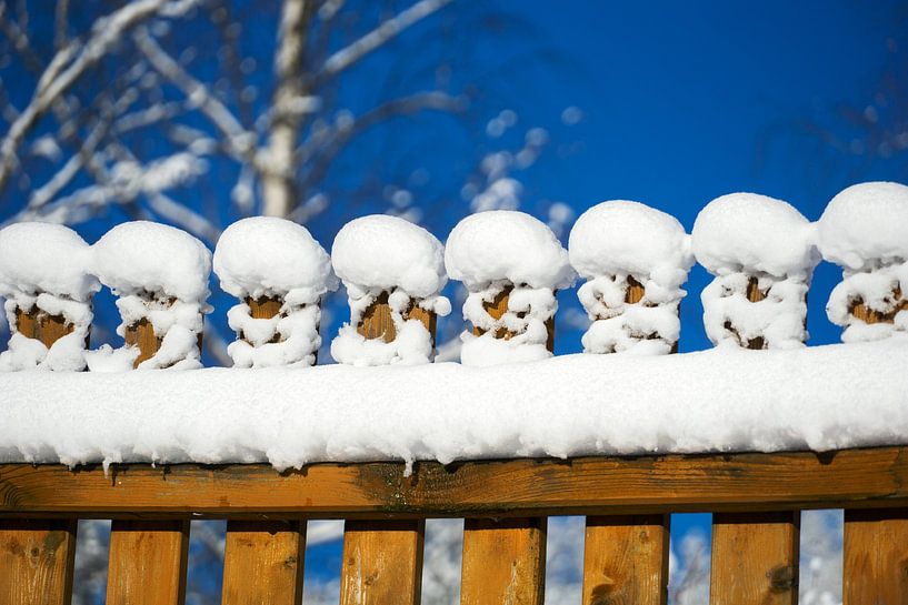 Verse sneeuw omheining van Wojciech Kruczynski