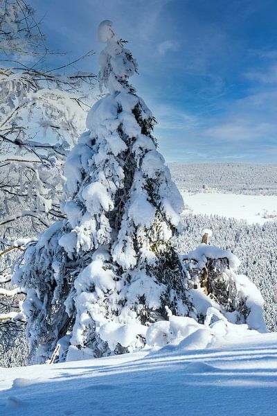 Winter Schnee von Johnny Flash