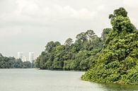 Singapore par Hans Lunenburg Aperçu