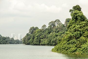 Singapore van Hans Lunenburg