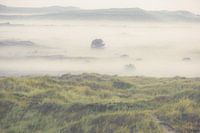 Terschelling