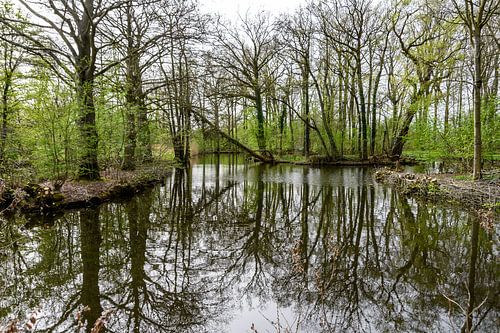 sereniteit 2