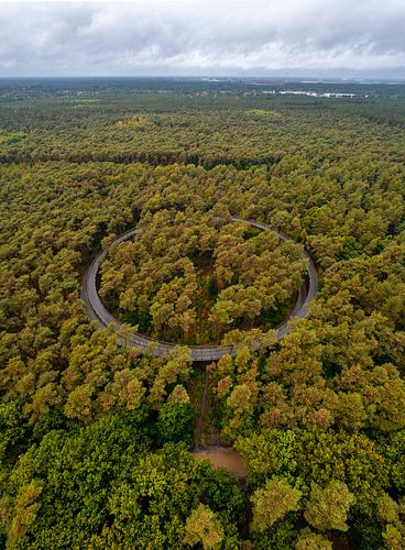 Fietspad door de Bomen tijdens de herfst