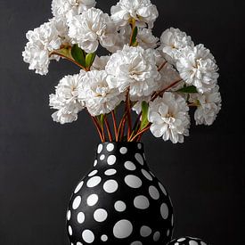 Wahre Farben von Harry Hadders Design