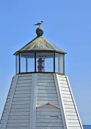Möwe auf Leuchtturm