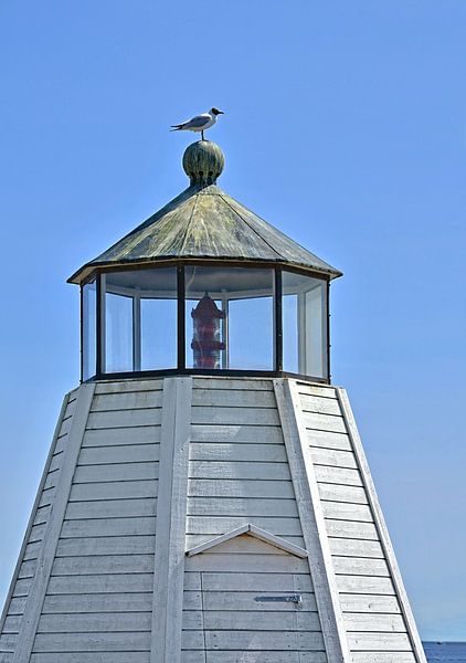 Seagull on lighthouse van Peter Bergmann